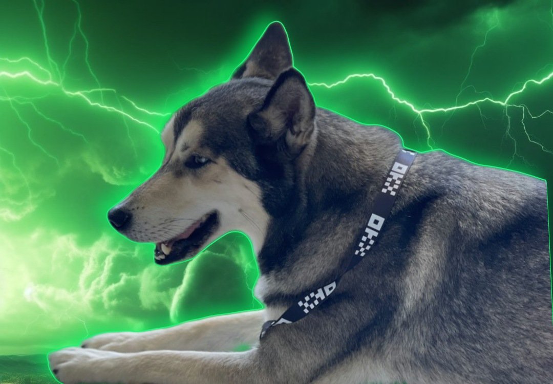kryptochay's tweet photo. π¨β‘οΈ Just Subscribed to you Sir. I do not have the subscribe feature myself, but feel free to follow back and click βοΈ for notifications. ππΌπͺβπΌβ‘οΈ
β‘οΈ@elonmusk β‘οΈ
#VOLTEDASF #VOLT $VOLT #VOLTINU #VOLTARMY nfa https://t.co/gfDVafAgc5
