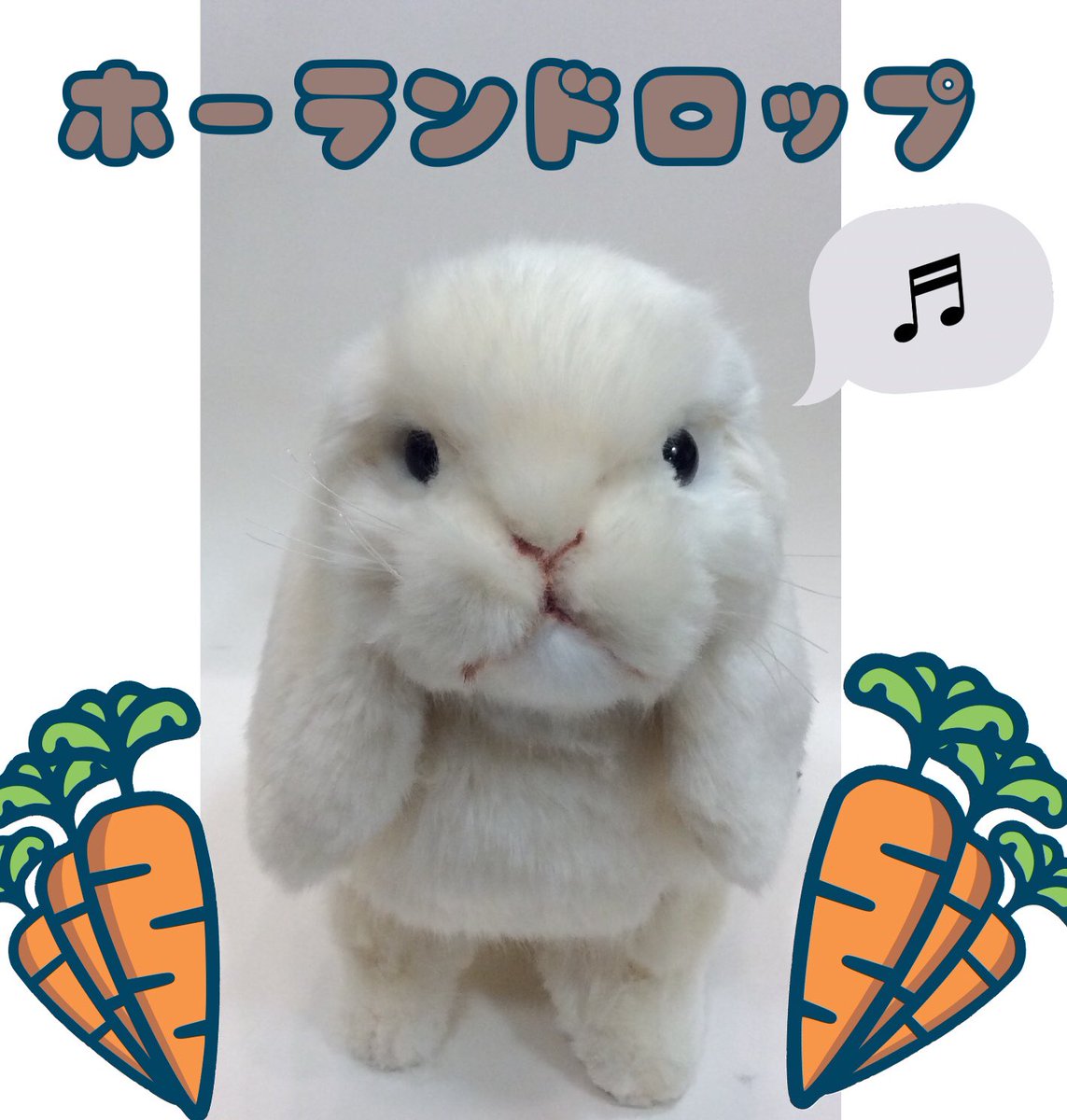 bear_labo's tweet photo. #HANSA 

白くてもこもこ❣️かわいいホーランドロップちゃんです💕
とってもかわいいので、ぜひ会いに来て下さいね✨

ホーランドロップ 税込5.830円

#ベアラボ #ぬいぐるみ #ベアラボ #bearlabo #池袋西武 #テディベア #ぬい撮り #ハンサ #うさぎ https://t.co/acWa9LSy5y