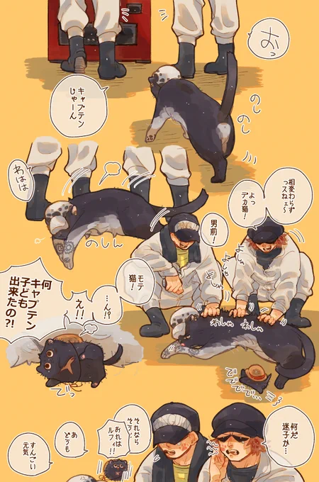 近所の子分と毛玉👒🐱 
