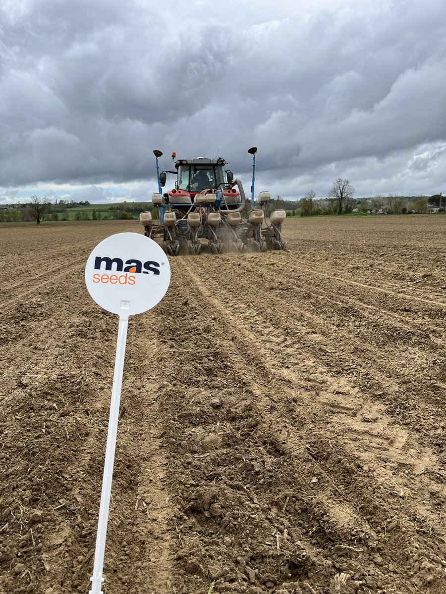 DesclauxT's tweet photo. Qui dit printemps 🌱, dit semis de 🌽 !
La traditionnelle vitrine  @MASSeeds de Monsegur (33) est semée depuis début avril ! 

@MASseedsfrance @AGPM_mais 
#corn #semis23 #new #waterlock https://t.co/324fE21suq