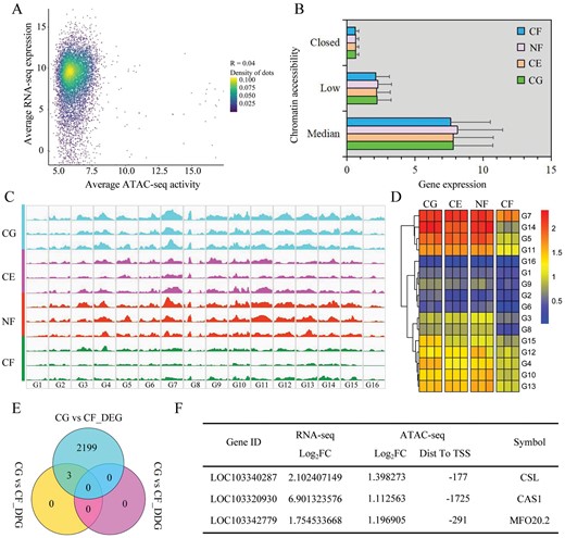 JXBot's tweet photo. Integration of #chromatin accessibility and gene expression reveals new regulators of cold hardening to enhance freezing tolerance in #Prunus mume https://t.co/G5EIuHZhG2
https://t.co/G5EIuHZhG2
#coldhardening #freezingtolerance https://t.co/p8dH4BcwWw