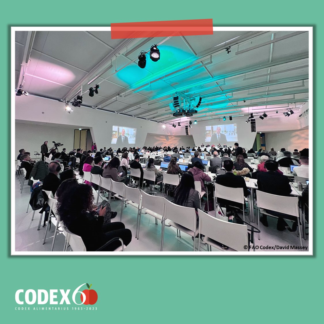FAOWHOCodex's tweet photo. 📰 | #CodexNews | Cooperation at international level key to safety and quality of food.
➕ℹ️➡️ https://t.co/gcTxLnsPDm
#CCCF16 | #FoodSafety https://t.co/vVxa0RhtdR