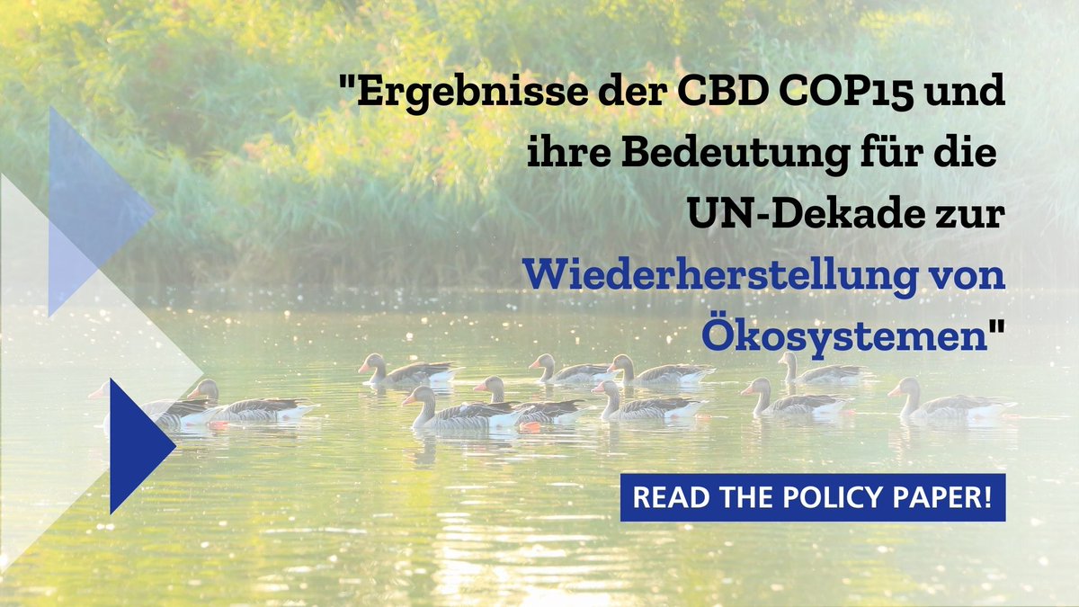 EcologicBerlin's tweet photo. Read our latest of a series of policy papers (German language) on #COP15 outcomes and their relevance for the ⁦UN Decade of Ecosystem Restoration, including key policy recommendations
#GBF #GenerationRestoration https://t.co/I0nc73eLrI