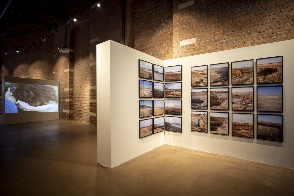 Casa Botter tweet media