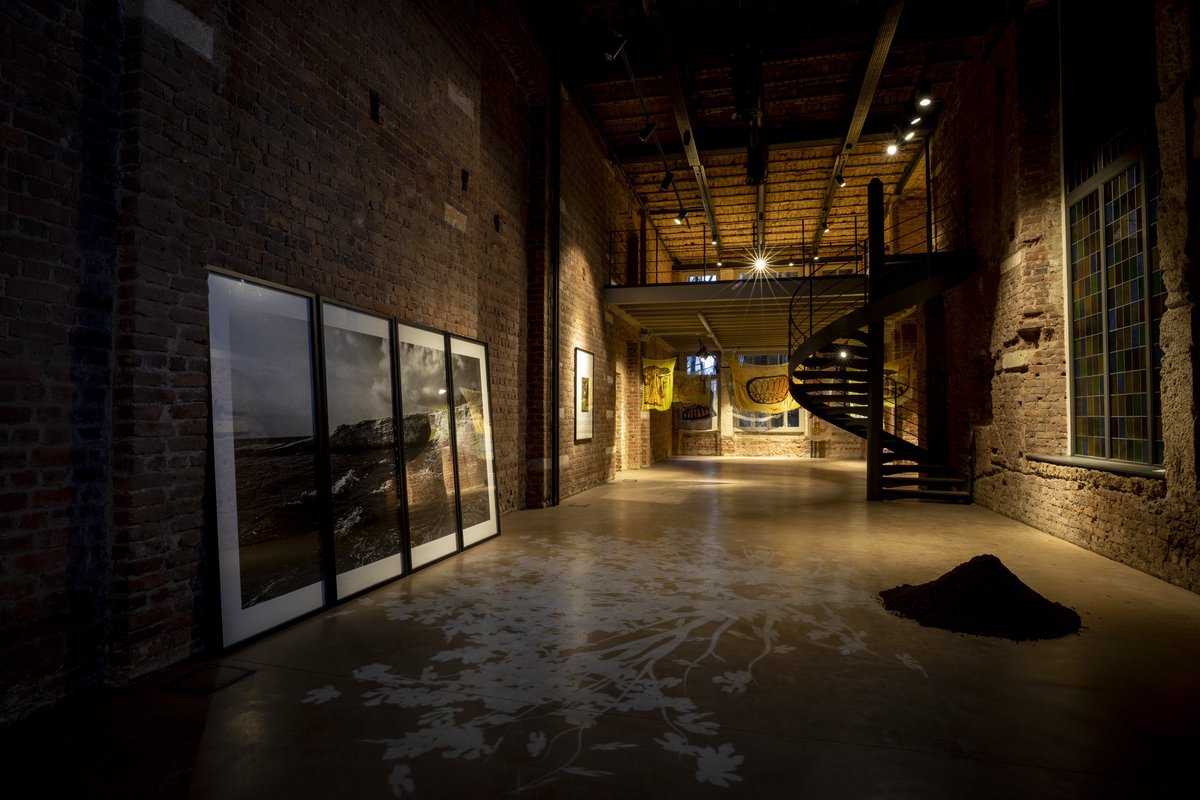 Casa Botter tweet media