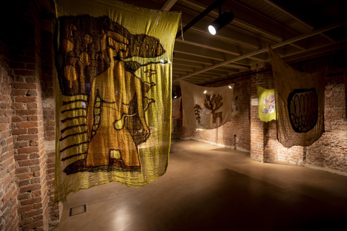 Casa Botter tweet media