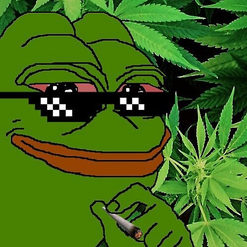 dankcoineth's tweet photo. something is coming. something... $dank https://t.co/p4ZUA9yR2X