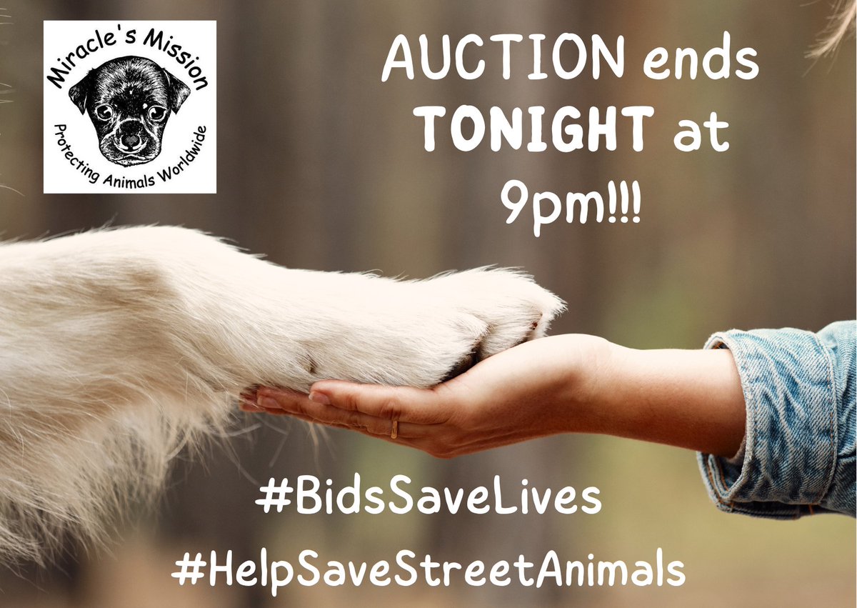 MiriMission's tweet image. #PlsRT 
Auction ends TONIGHT at 9pm!!  Pls keep an eye on your bids

We still have so many items without bids so a bid on those would be a MASSIVE help - thank you
 
facebook.com/media/set/?set…

#wednesdaythought #dogs #cats #dogsoftwitter #streetdogs #AnimalRescue #TNR #neuter #spay