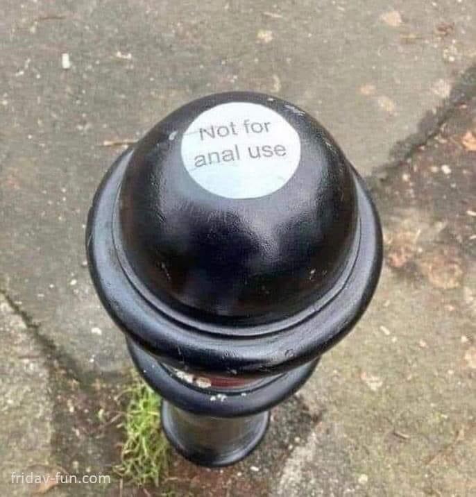 Charlie Langhorne tweet media