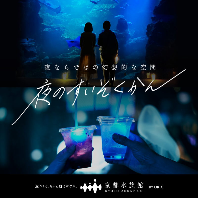 Kyoto_Aquarium's tweet photo. ／
週末は #夜のすいぞくかん✨
大切な人とのおでかけは #京都水族館 へ🐬🐠
＼

毎週土日・祝日20時まで開館。
夜限定の幻想的な空間をお楽しみください！

いきものたちと、お待ちしています🐧