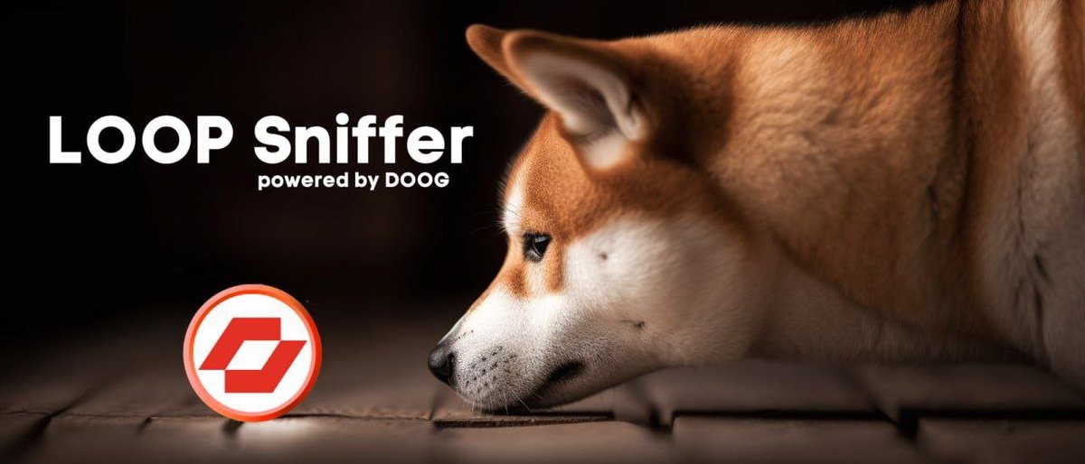 DOOG LRC20 - First Meme on Loop Network tweet media