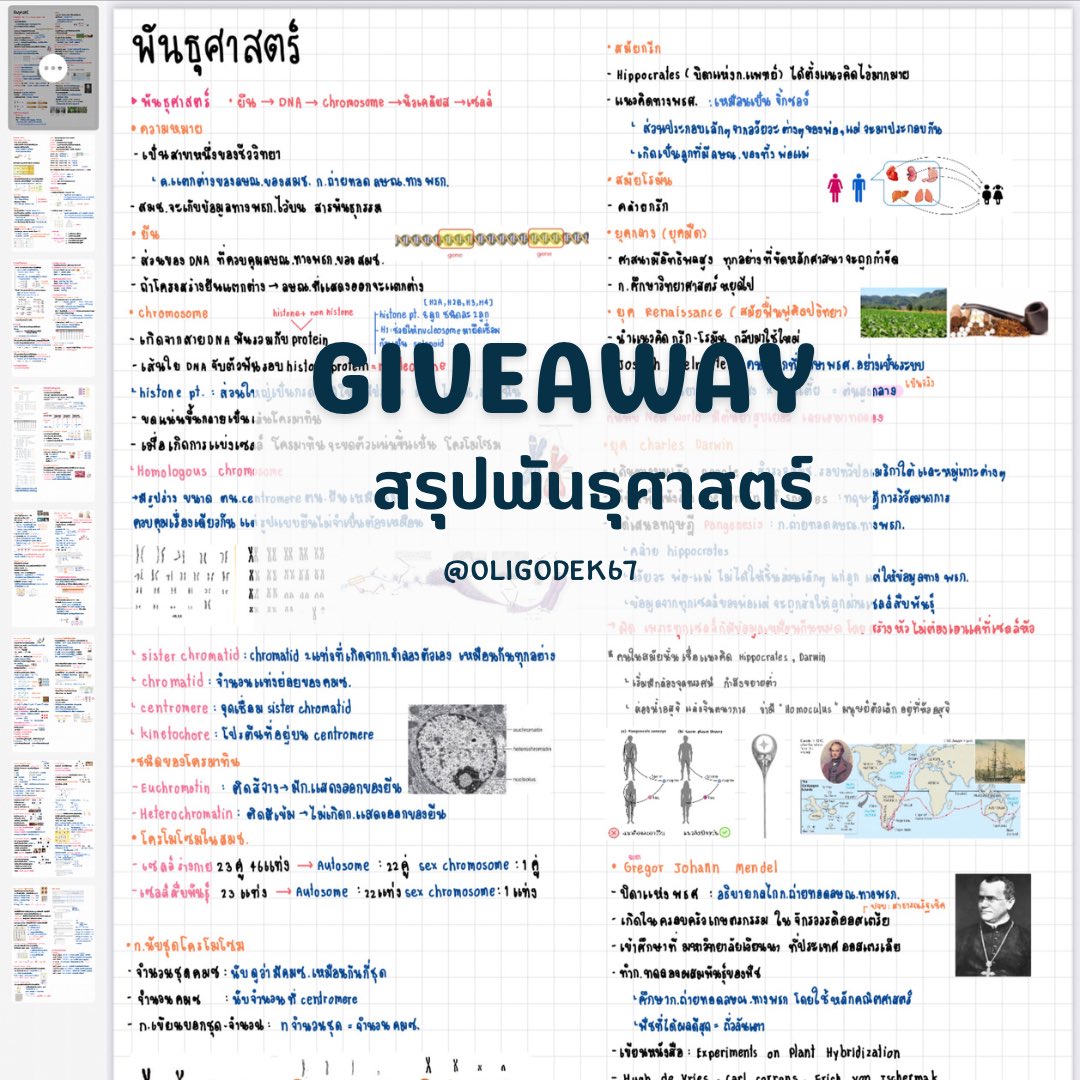 Oligodek67's tweet photo. #GIVEAWAY ✨สรุปพันธุศาสตร์ 🧬
🌙 เนื้อหาละเอียด มีโจทย์ยกตัวอย่าง 
🌙 อ้างอิงจาก : หนังสือปลาหมึก สสวท และค่ายสอวน.
🌙 กติกา : รี/เฟบ ทวิตนี้ และdmมา แล้วรอรับไฟล์ได้เลย
❗️สรุปนี้เราตั้งใจทำมากๆ ไม่อนุญาตให้แจกต่อหรือใช้ในเชิงพาณิชย์นะคะ

#dek67 #dek68 #dek69 https://t.co/HbyMqa4tRK