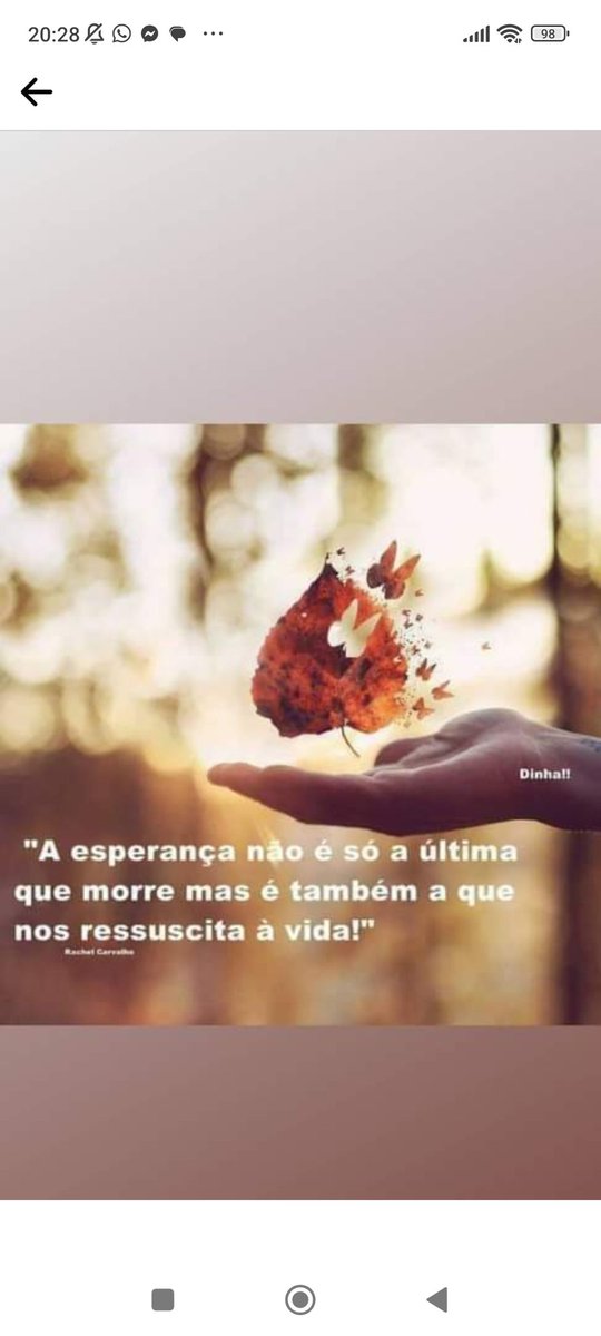 Marinês L. Helfeinstein 🚩🚩🚩🚩🚩 tweet media