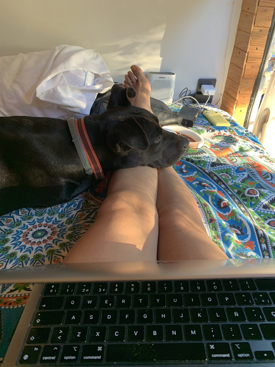 kodachi's tweet photo. Trabajo remoto, 4 day work week, Van life 🤌🏻 https://t.co/A1dodRcGCi