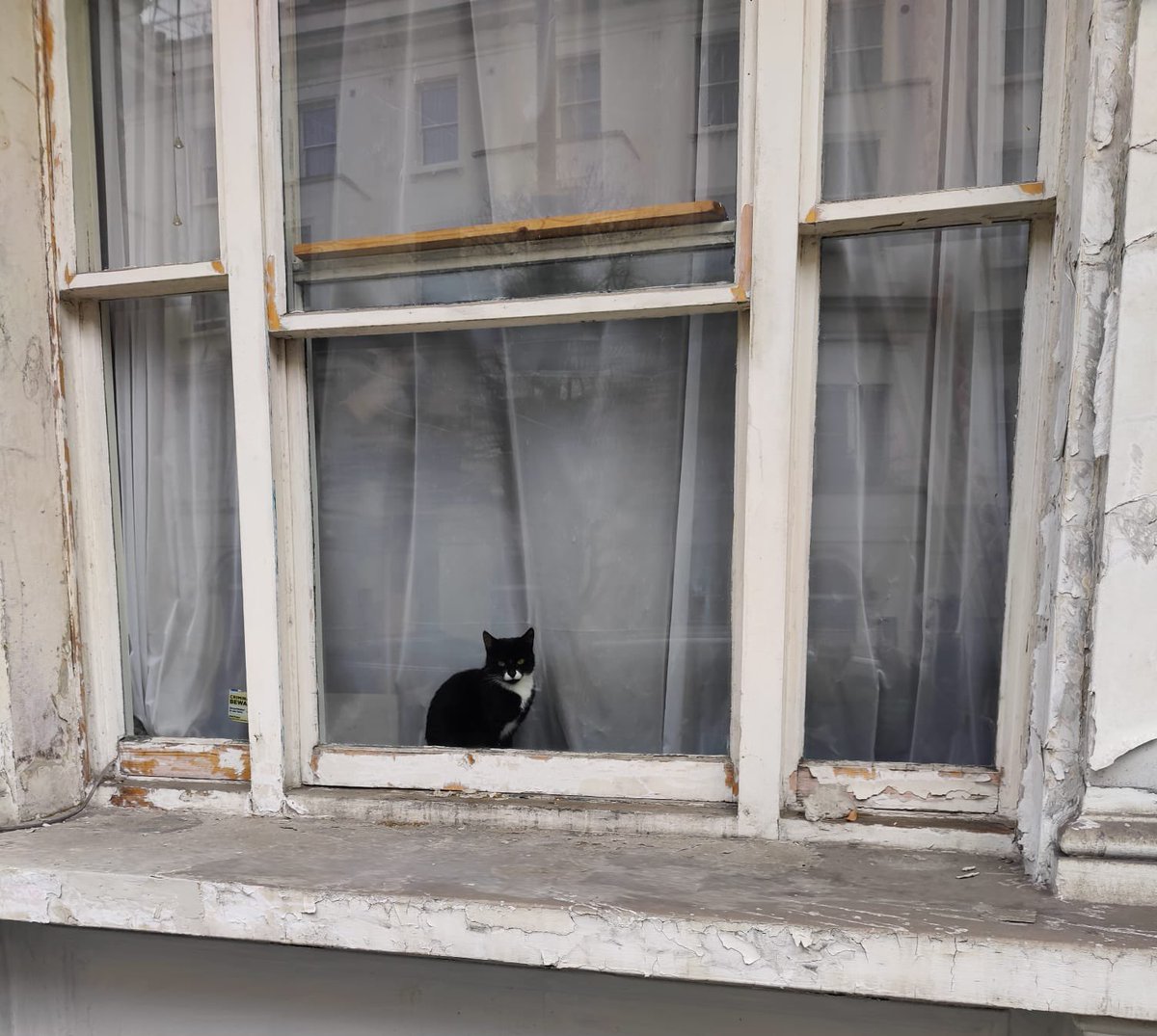 WindowAnimals's tweet photo. https://t.co/dnJTKVtbbv