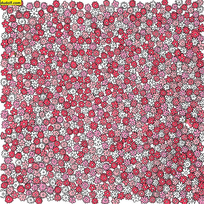 FoxNews's tweet photo. BRAIN TEASER: Can you find 5 stars hidden in this flower field? https://t.co/EMbazh0dbh https://t.co/KHuUOPSyF6