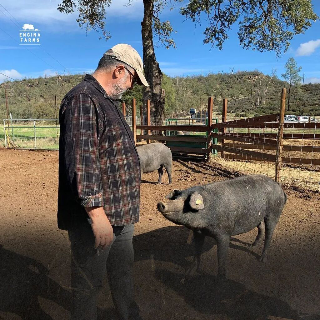 Encina Farms tweet media