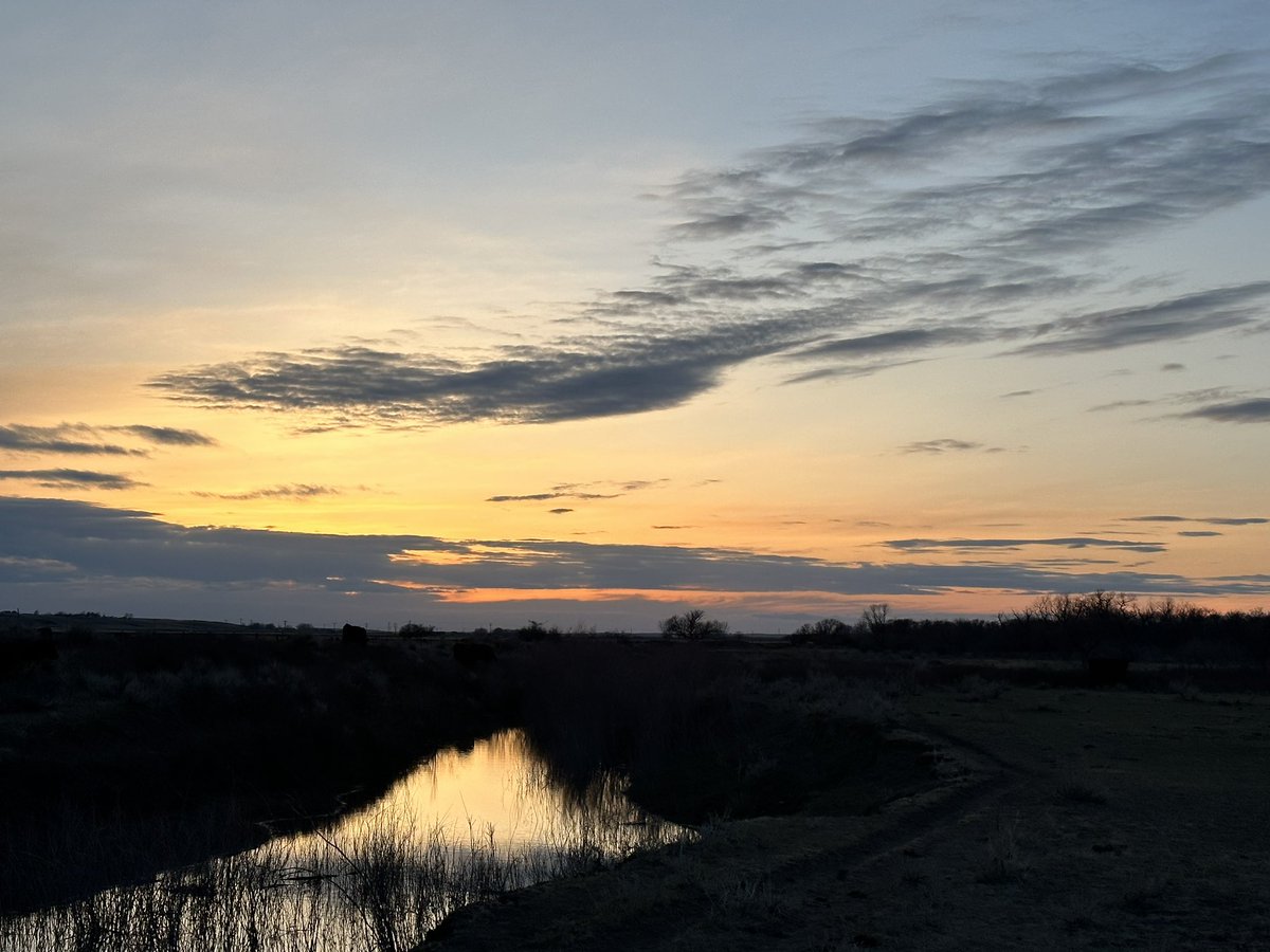 Mona Howe tweet media