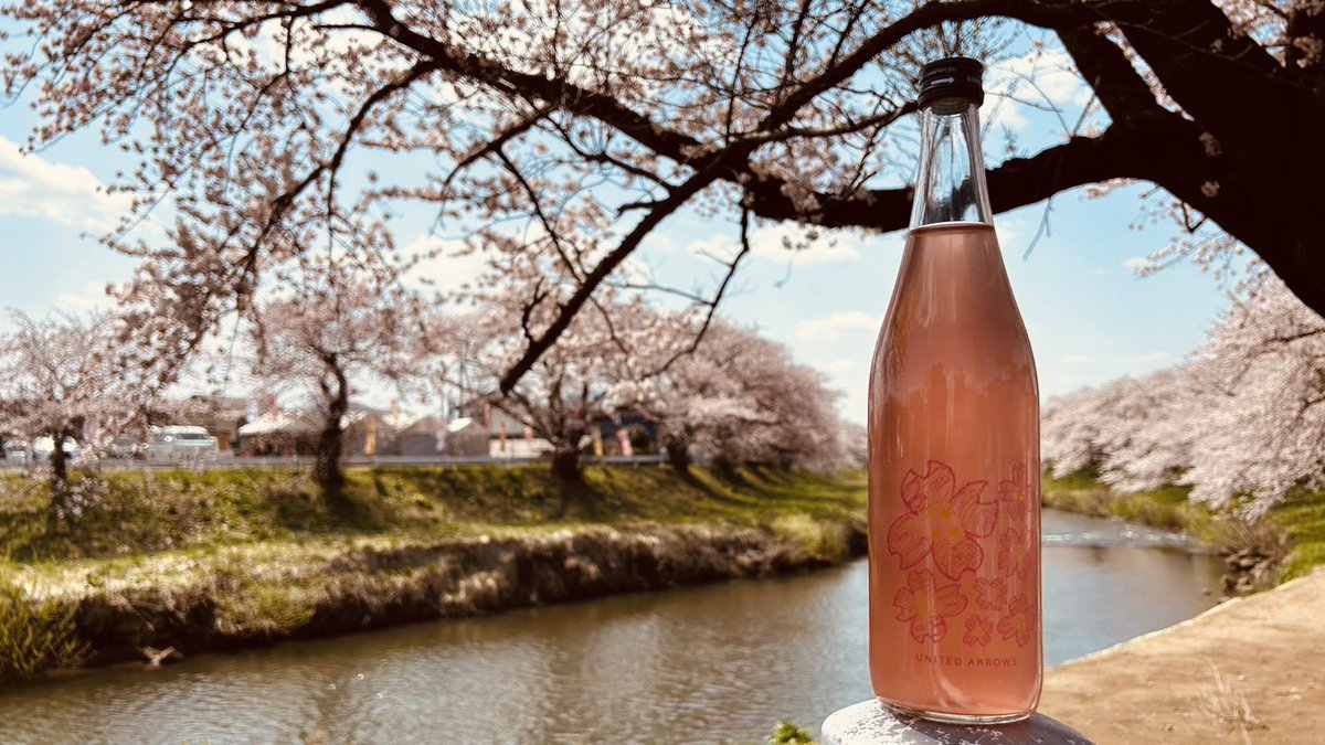 missta80's tweet photo. #日本酒好きな人と繋がりたい ってことで　　　　トレンドに乗っかります。自分のツイート少ないから一瞬でひと昔前に遡れるから楽しい。今年のお花見。仙禽で季節を巡る。 https://t.co/XAhlrPCn8x