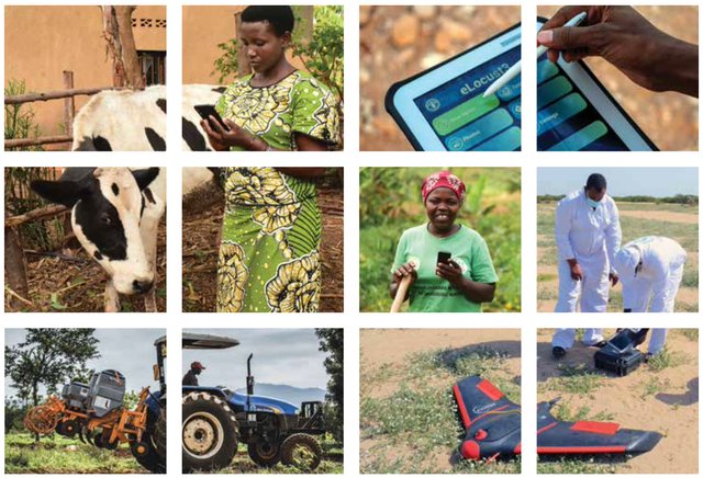 Kelvin Odoobo tweet media