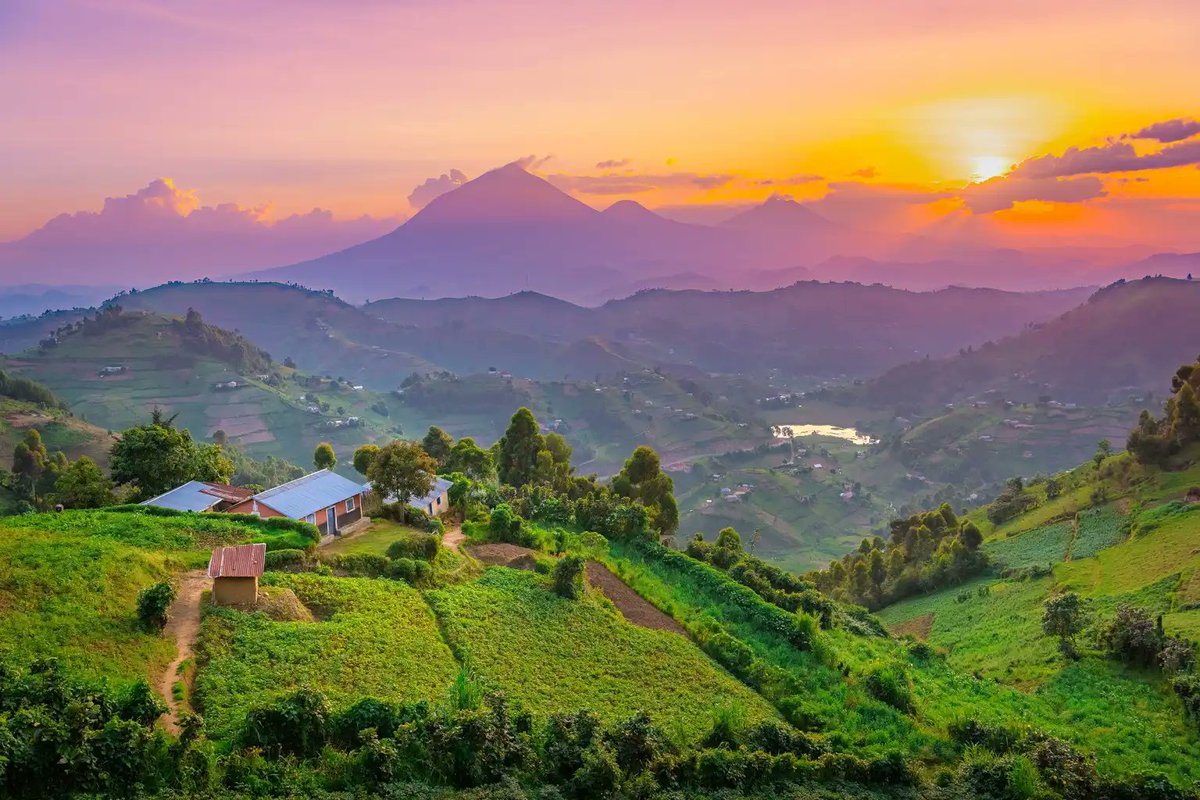 Kelvin Odoobo tweet media