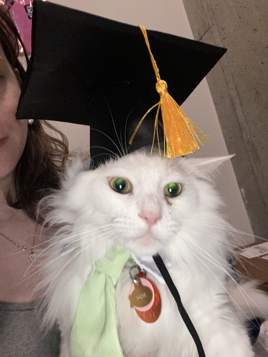 sadiepantscat's tweet photo. I got a degree in theoretical physics (I wore the hat for 1 second) https://t.co/WWVpMyveMd