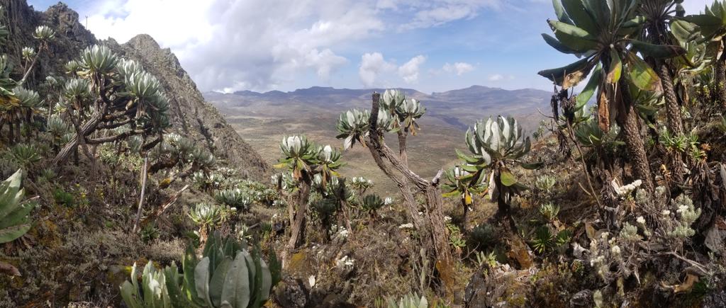 Jon Leary tweet media