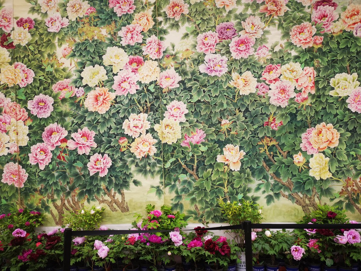 Peony Art(互fo) tweet media
