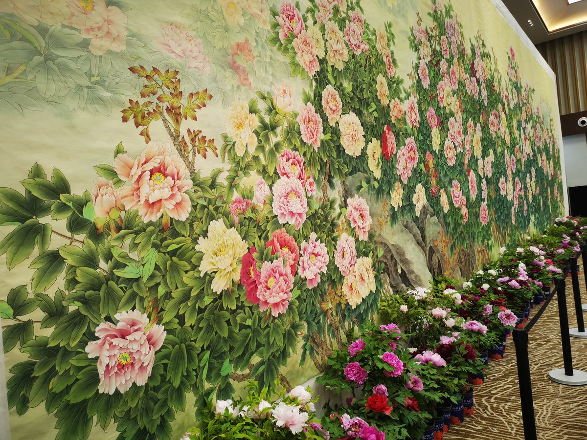 Peony Art(互fo) tweet media