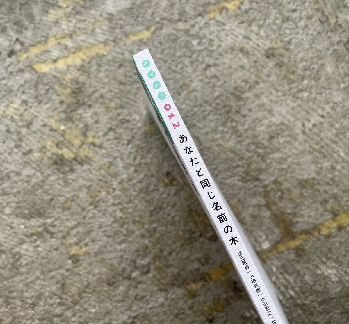 standardbook's tweet photo. 山川直人直人さんのサイン入り『サイコロ012 あなたと同じ名前の木』が届いております。今号は世田谷ピンポンズさんも参加されてます！
https://t.co/q05Giy9ppP https://t.co/tC8rcWU6di