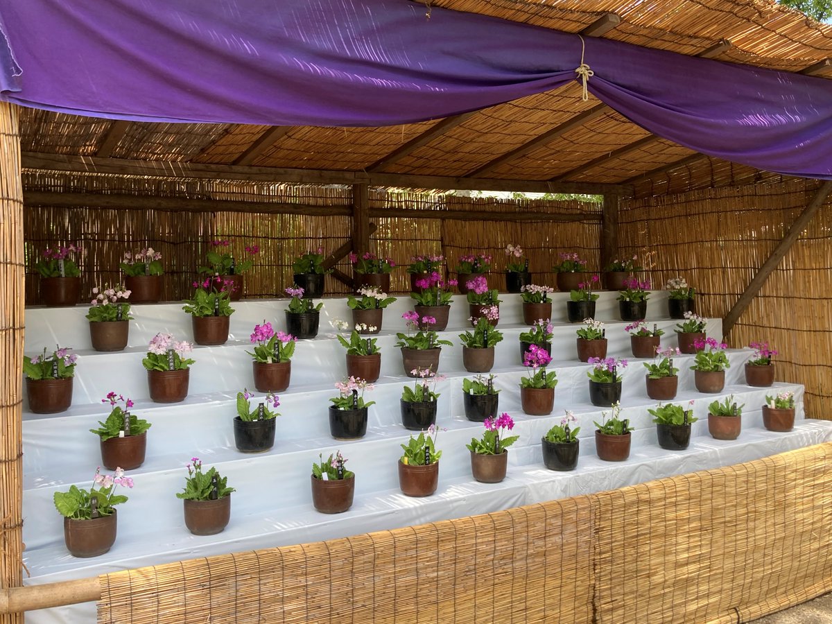 plantes de jardin -composition-bambou-fleurs-jardinière-carrée-roulettes