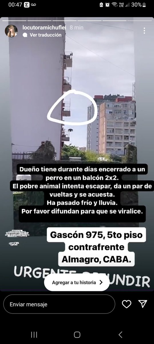 santiagorivaroy's tweet photo. ¿Qué se puede hacer en estos casos de #MaltratoAnimal querido @dzapatillas ? El @gcba @BA147 @horaciorlarreta NO hacen nada. Rt por favor https://t.co/7YzVyHnUDy