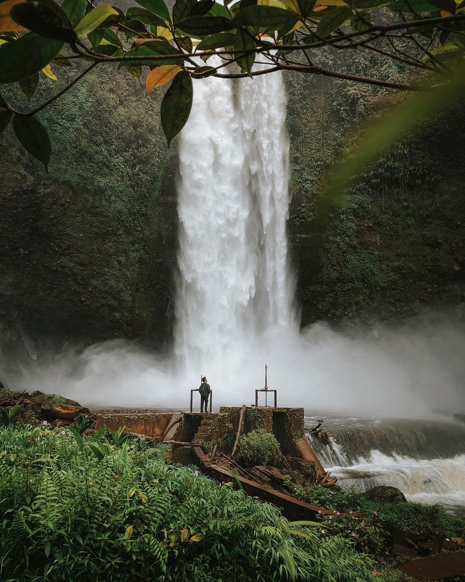 Putra Buana tweet media