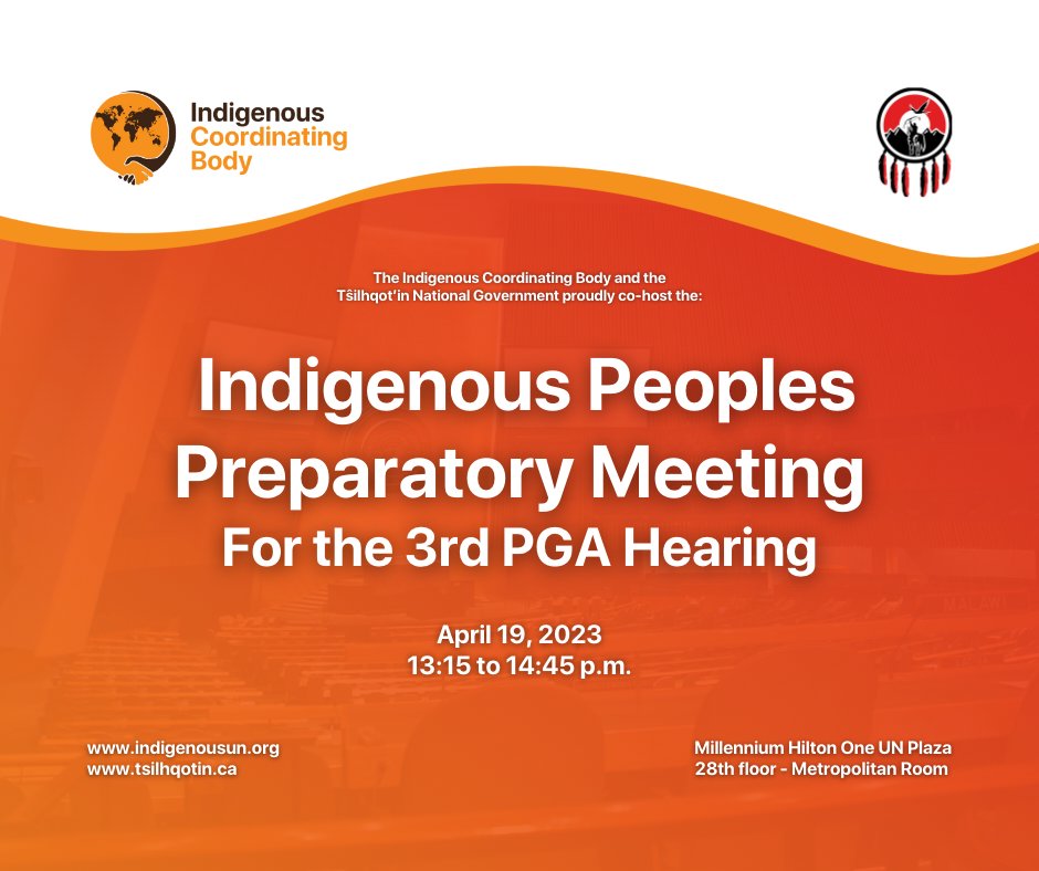 🙌 Exciting developments for #IndigenousPeoples! @indigenousun &amp; <a href="/tsilhqotin/">Tŝilhqot'in National Government</a> are hosting a special meeting to prepare for the high-level talks with <a href="/UN_PGA/">UN GA President</a> on a new status at <a href="/UN/">United Nations</a>. 🗓️ Join us on April 19 at 1:15pm. #IPatUN  Get the latest: indigenousun.org