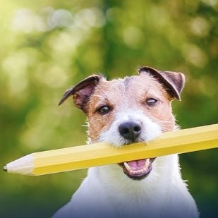 NEW VIDEO 
youtu.be/OTdPylws-w4