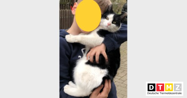 bogdanowskyru's tweet photo. #Suchmeldungen #Katze #verschwunden #EKH 15.04.2023 - Katze Flitzi verschwunden in 04571 Rötha https://t.co/CS2eooo4Xh https://t.co/5sHnhD0y45