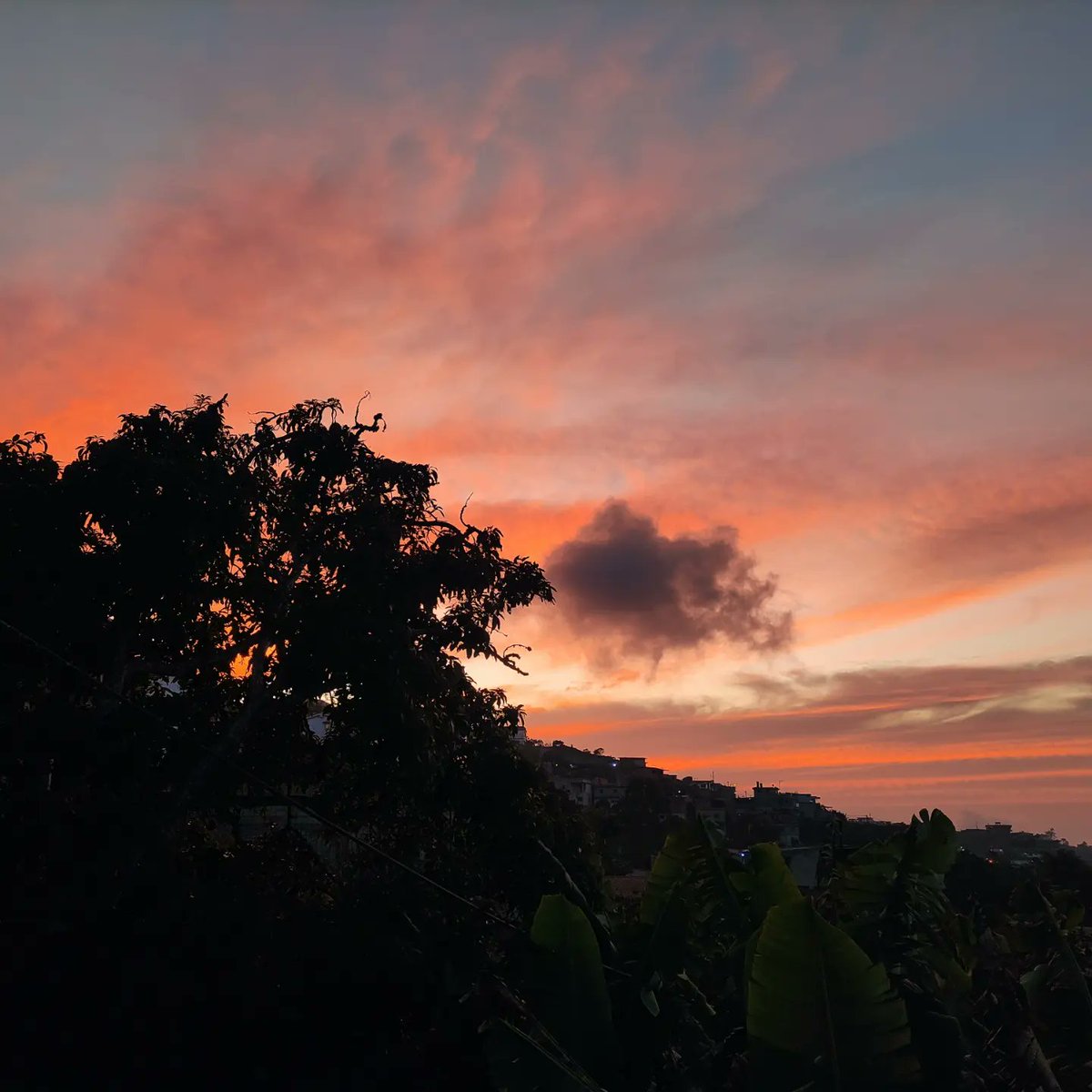KeiberlynV's tweet photo. Fan del cielo, los árboles y todo lo bonito de los días. 

#photographer #pictureoftheday https://t.co/HRk5qYdRL6