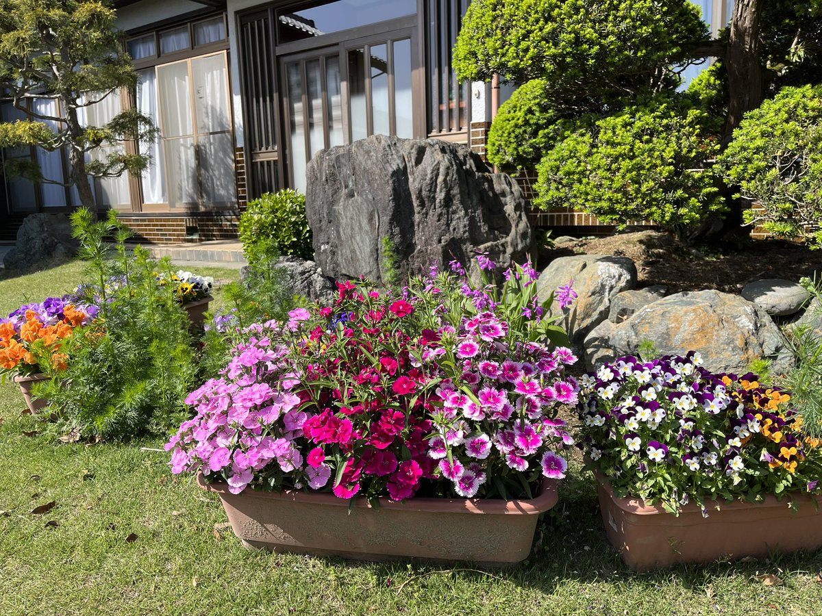 実家のお花たち
田舎で庭が広いので
ばあちゃんがたくさん植えてます😊
私も今年はひまわりを育てる予定です🌻