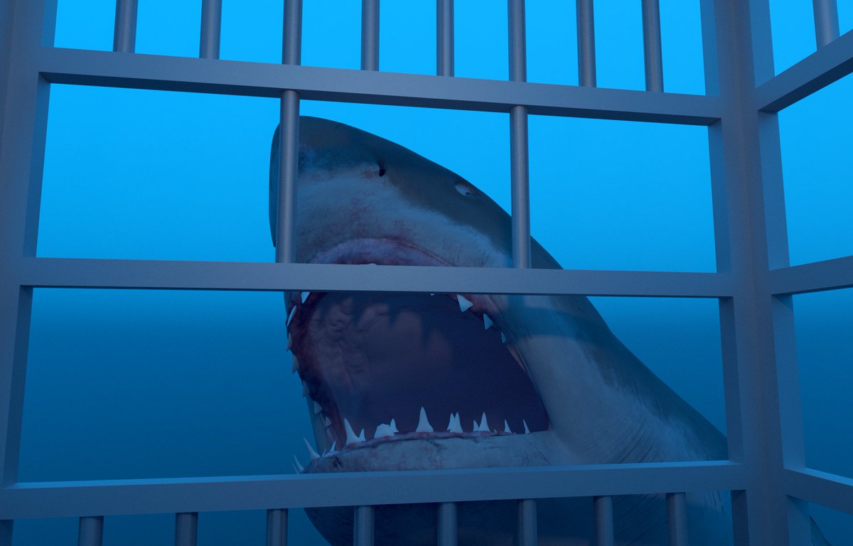 CGCauldron's tweet photo. 3D model, Carcharodon Carcharias (Great white shark) - CG underwater scene

Modeling &amp; Rigging in Maya / Textures in Substance Painter / Render in V-Ray https://t.co/hgCjWJod22