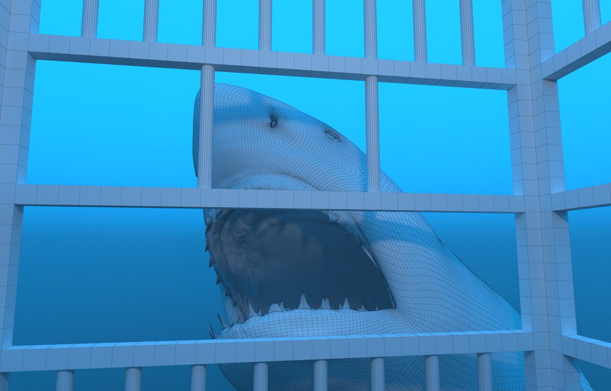 CGCauldron's tweet photo. 3D model, Carcharodon Carcharias (Great white shark) - CG underwater scene

Modeling &amp; Rigging in Maya / Textures in Substance Painter / Render in V-Ray https://t.co/hgCjWJod22