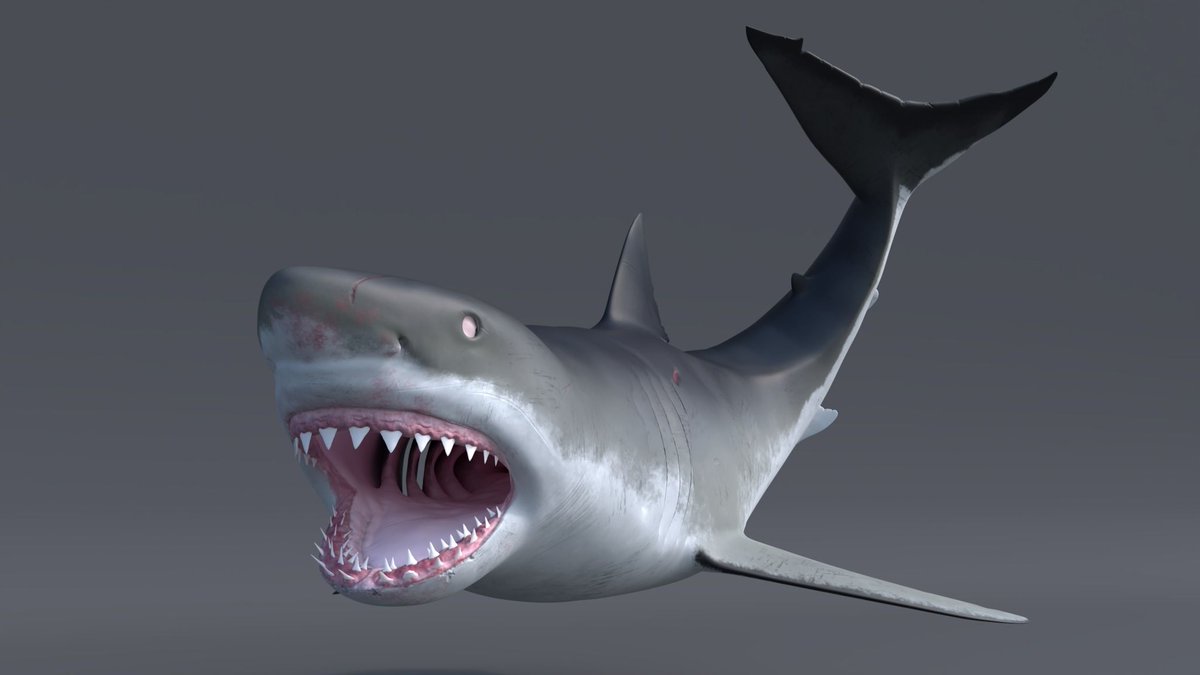 CGCauldron's tweet photo. 3D model, Carcharodon Carcharias (Great white shark) - CG underwater scene

Modeling &amp; Rigging in Maya / Textures in Substance Painter / Render in V-Ray https://t.co/hgCjWJod22