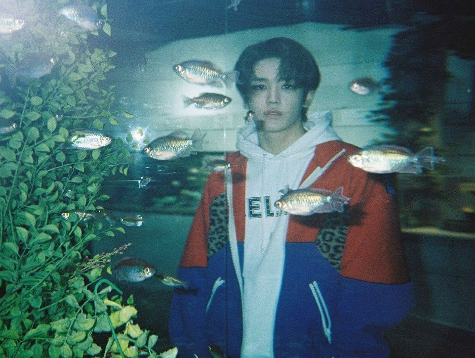 taeyongpictures's tweet photo. today marks the 2nd anniversary of blue. a song filled with taeyong's honest and pure emotions 💙

qrt or reply with your favorite part of blue's lyrics https://t.co/LI85tEBONC