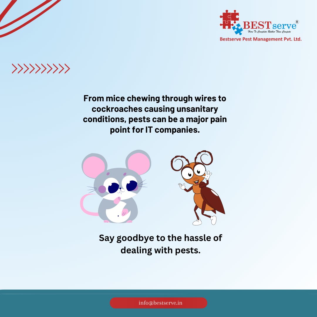 Bestserve2Best's tweet image. Don&apos;t let pests disrupt your IT workflow – take control today 🚀🚫🐭🐜🕷️ #ITproblems #pestcontrol