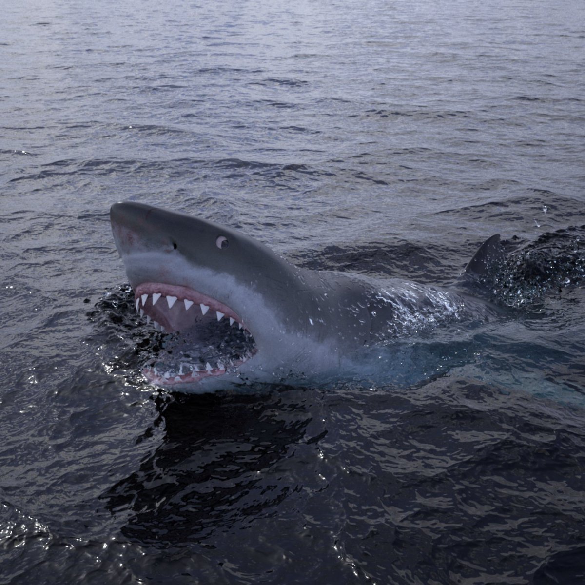 CGCauldron's tweet photo. 3D model, Carcharodon Carcharias (Great white shark) 
Fluid simulation - PhoenixFD
Modeling &amp; Rigging in Maya / Textures in Substance Painter / Render in V-Ray https://t.co/NTPjGtMqLr