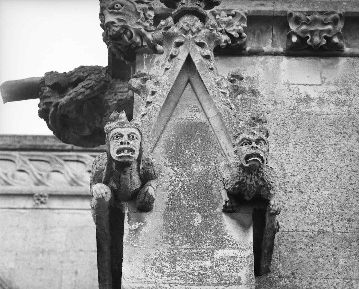For Ruskin, the asymmetry, endlessly varied designs, and non-standardised decoration of Gothic cathe