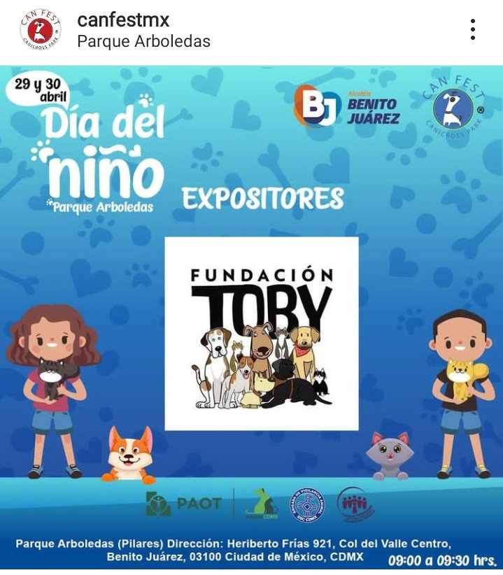 FundacionToby's tweet photo. Que emociooooooon!! Fundación Toby presente en Can Fest día del niño 💛✨ esperamos verlos por alla 🐶🐾 https://t.co/G6eq8VJpYj