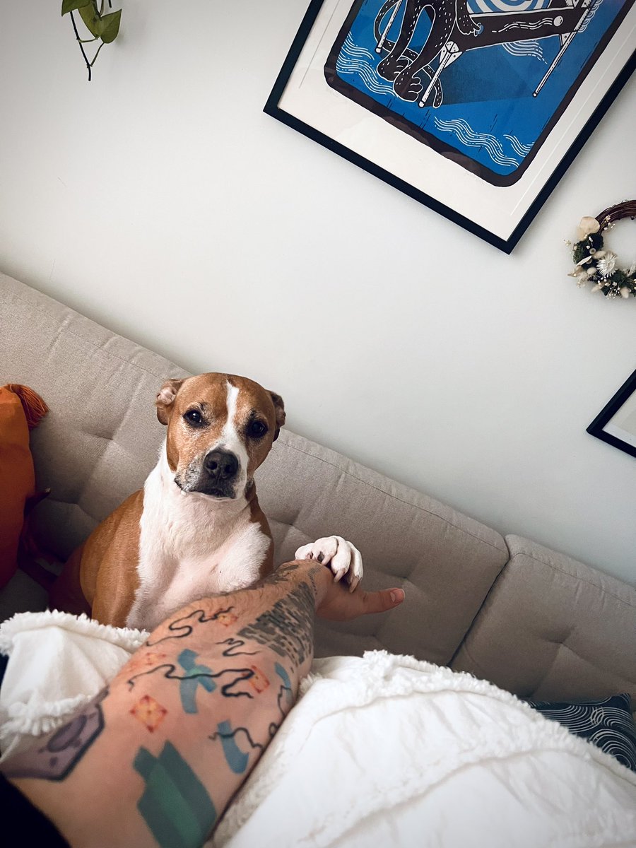 rawpawss's tweet photo. If you see this tweet, quote tweet it with the most recent photo you took of your pet. No cheating.
Look at this needy babyyyy https://t.co/zY7zcd0C3R