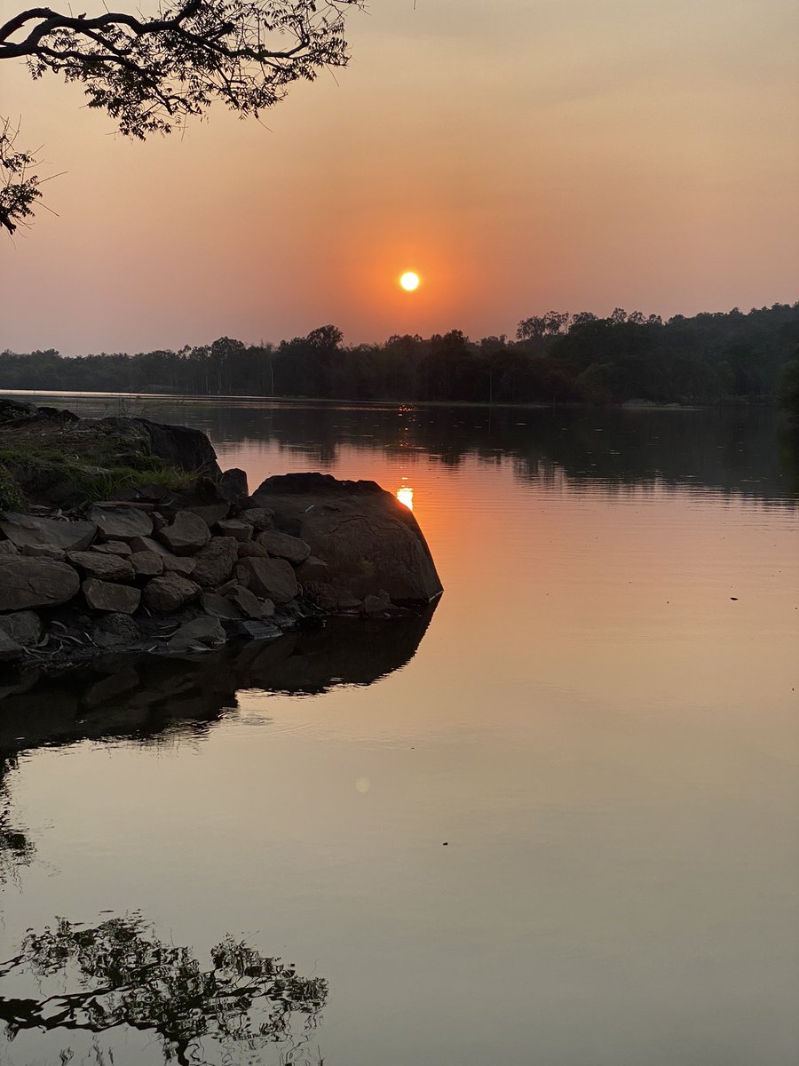 sanjaymaradi's tweet photo. So blessed to belong to a city where just a 30+ minute drive gets you to such a serene an beautiful place. Our good boi was off leash and had several acres of land of run around and explore. #Bengaluru #NammaBengaluru #ಚುಕ್ಕೆ #DogDayOut #NeRaLuFarm https://t.co/KgZ6XCiNRT