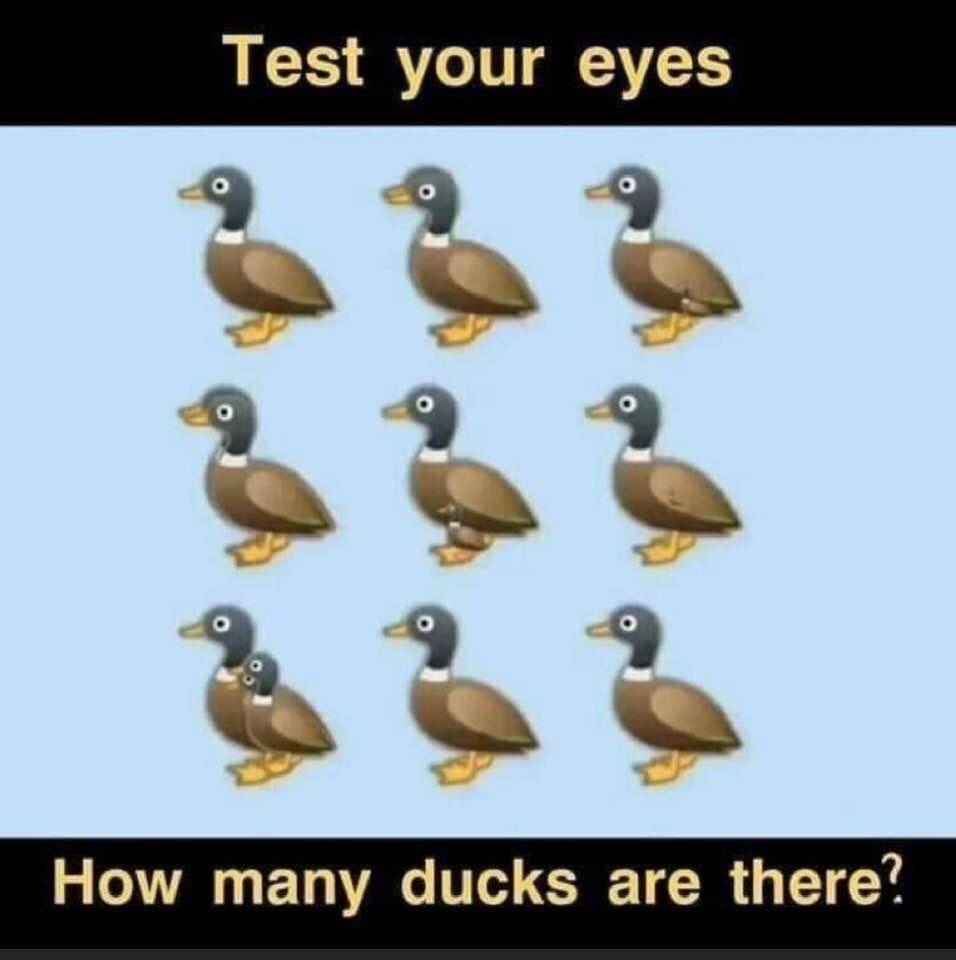 How Many Ducks Are In The Picture?