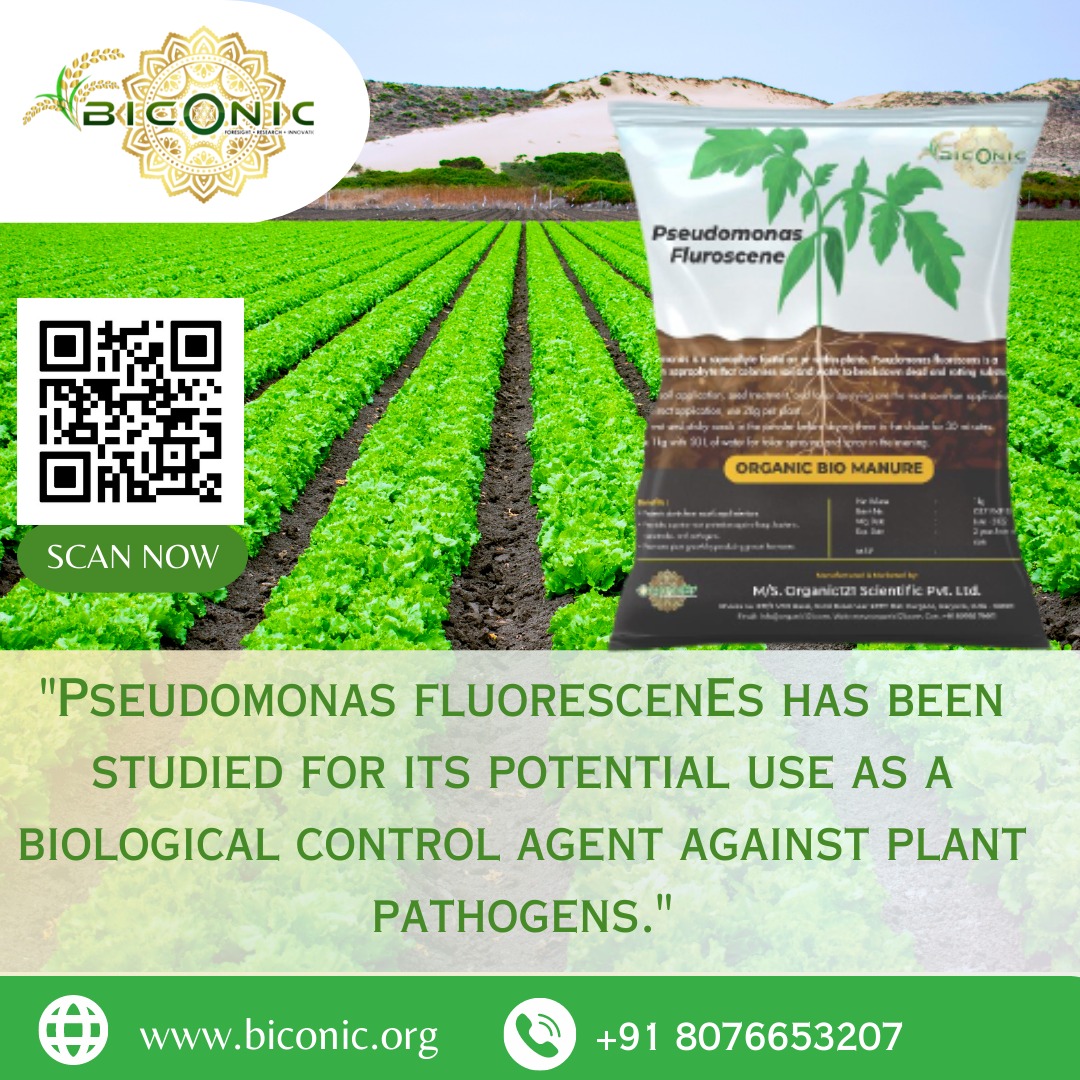 biconicorg's tweet photo. "Empowering plant growth with Pseudomonas." 
For Bulk orders:- +91 8076653207 
#biofertilizer #produccion #hongos #formosa #biotechnology #berkebun #agricola #fertilizer #jaminan #organic farming https://t.co/Eja4NCbUiP